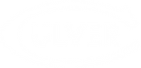 Culver Eagle Outfitters logo