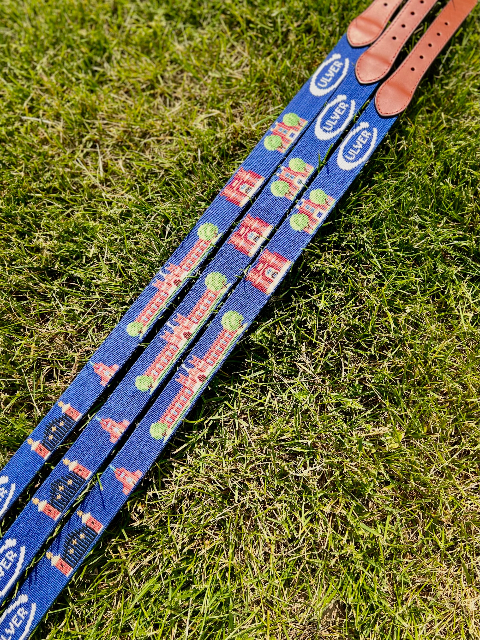 Smathers & Branson Culver Buildings Needlepoint Belt