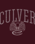 Champion Tri-blend  V-Neck Tee - Maroon