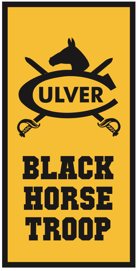 Black Horse Troop Banner - 18&quot; x 36&quot;